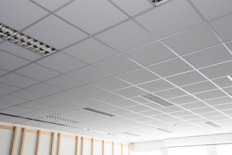 Ceiling Tile Installation