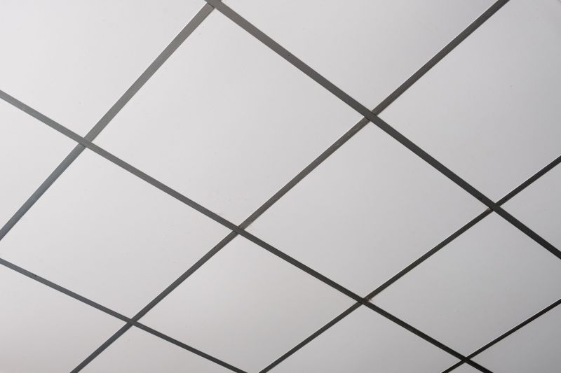 Ceiling Tiles Installation in Arvada, CO