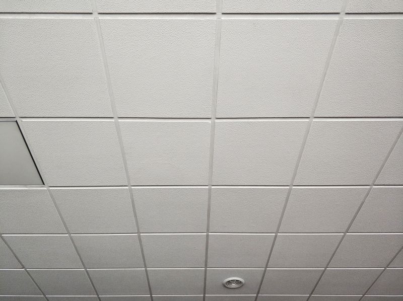 Grid Ceiling Repair in Boulder, CO