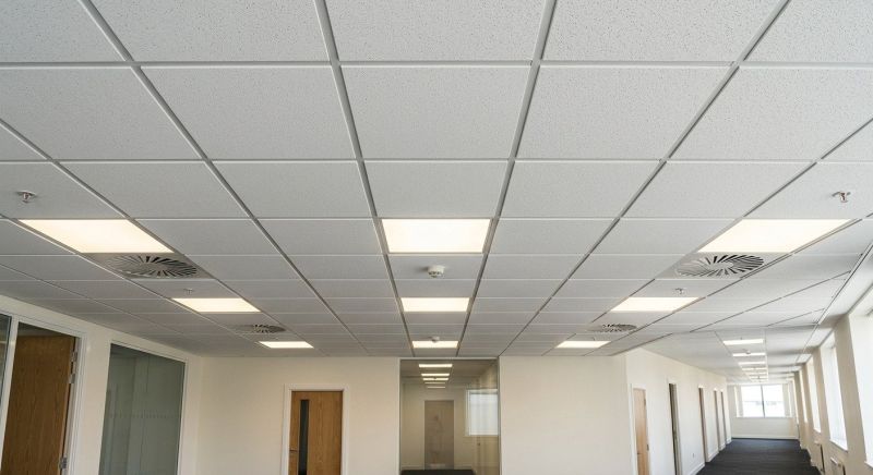 T Bar Ceiling Installation in Longmont, CO