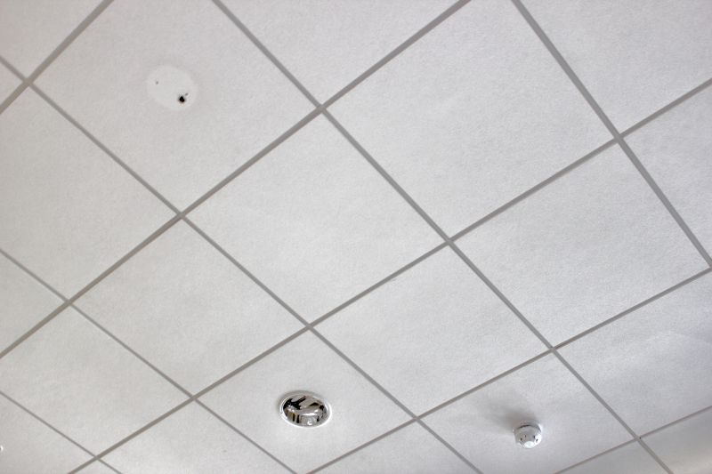 Tile Ceiling Installation in Longmont, CO